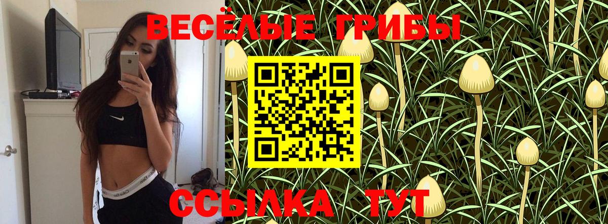 купить наркотик  Галлюциногенные грибы MAGIC MUSHROOMS  Вход с VPN  Городец  Галлюциногенные грибы мухоморы 